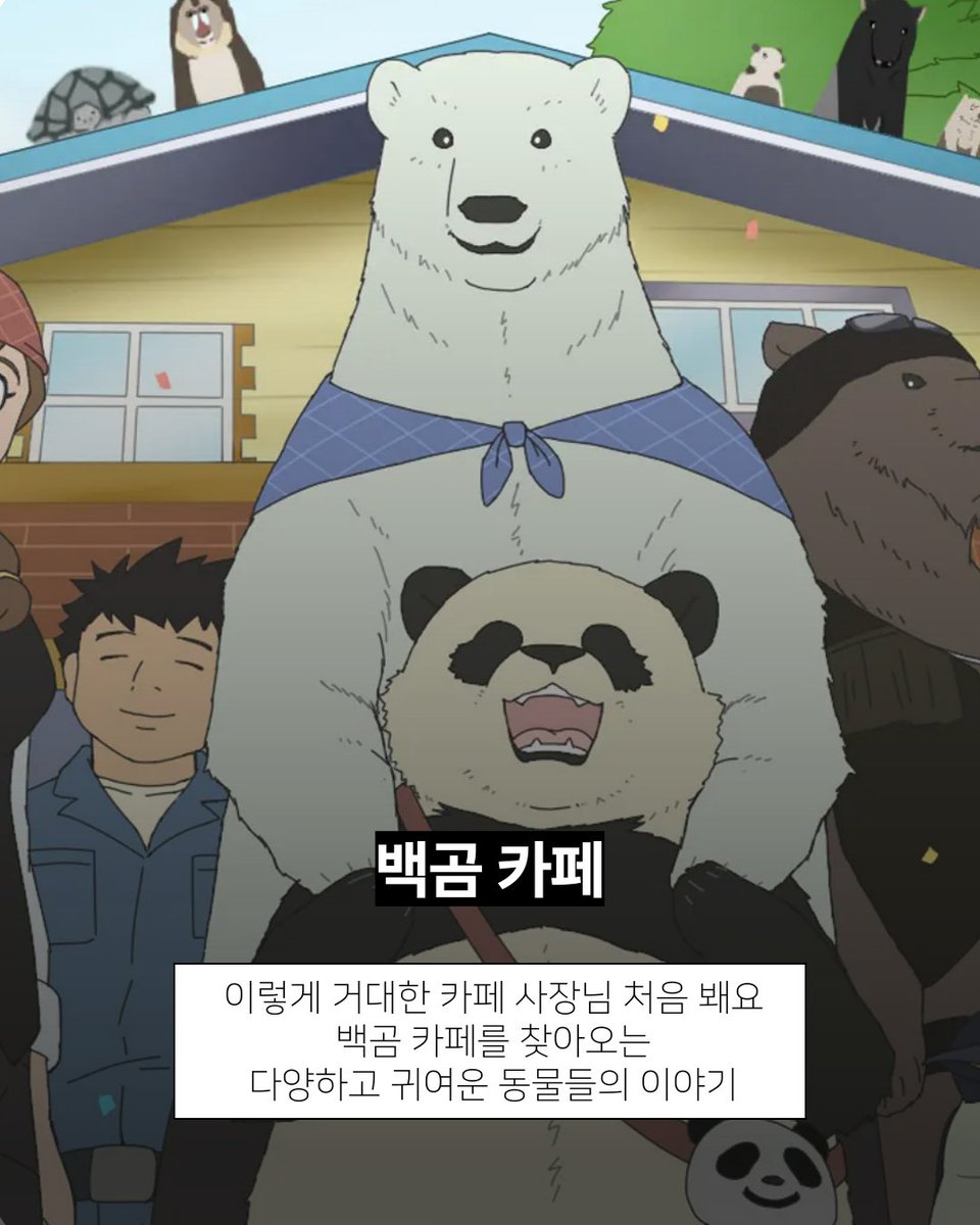 마카 애니메이션 tweet media