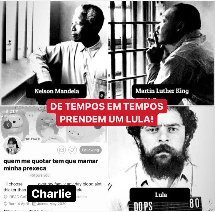 charlinha tweet media