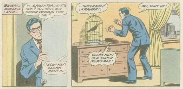 SupermanHomepge's tweet image. #DidYouKnow May 4 is #BirdDay.