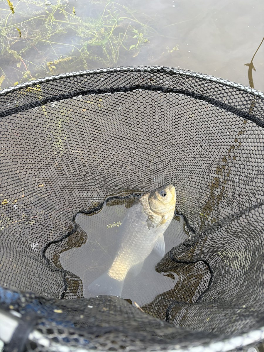 たけぽん@週末へら釣り🎣 tweet media