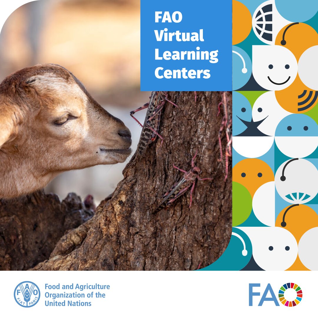 FAO Livestock tweet media