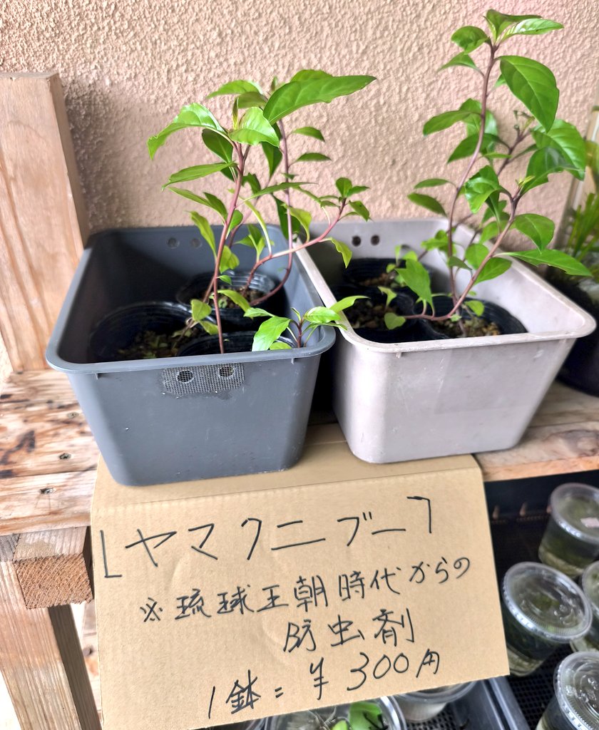 へー、これ欲しい。