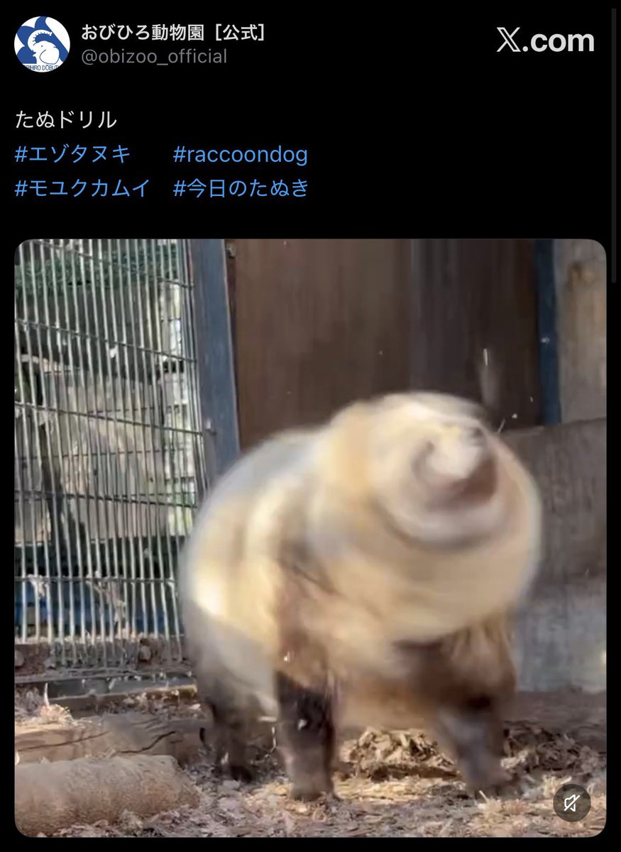 usatanu178's tweet photo. https://t.co/EzvDVlHZ9G https://t.co/0YvS8bD65j