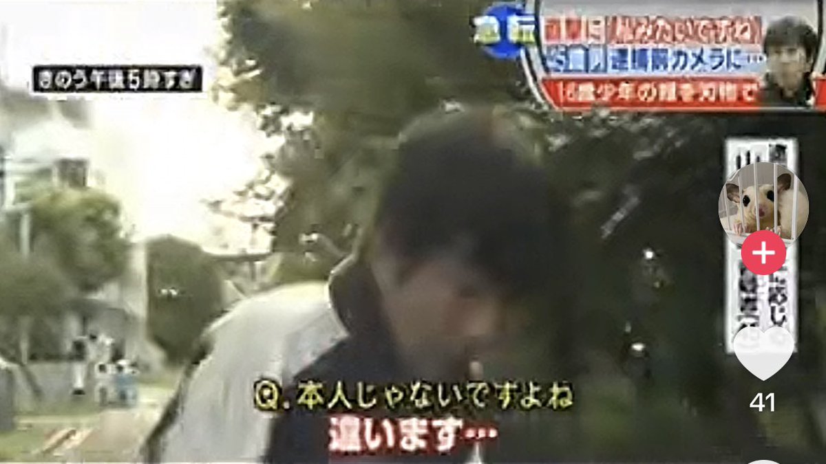 🍛カツカレ〜汚れ松🌲 tweet media