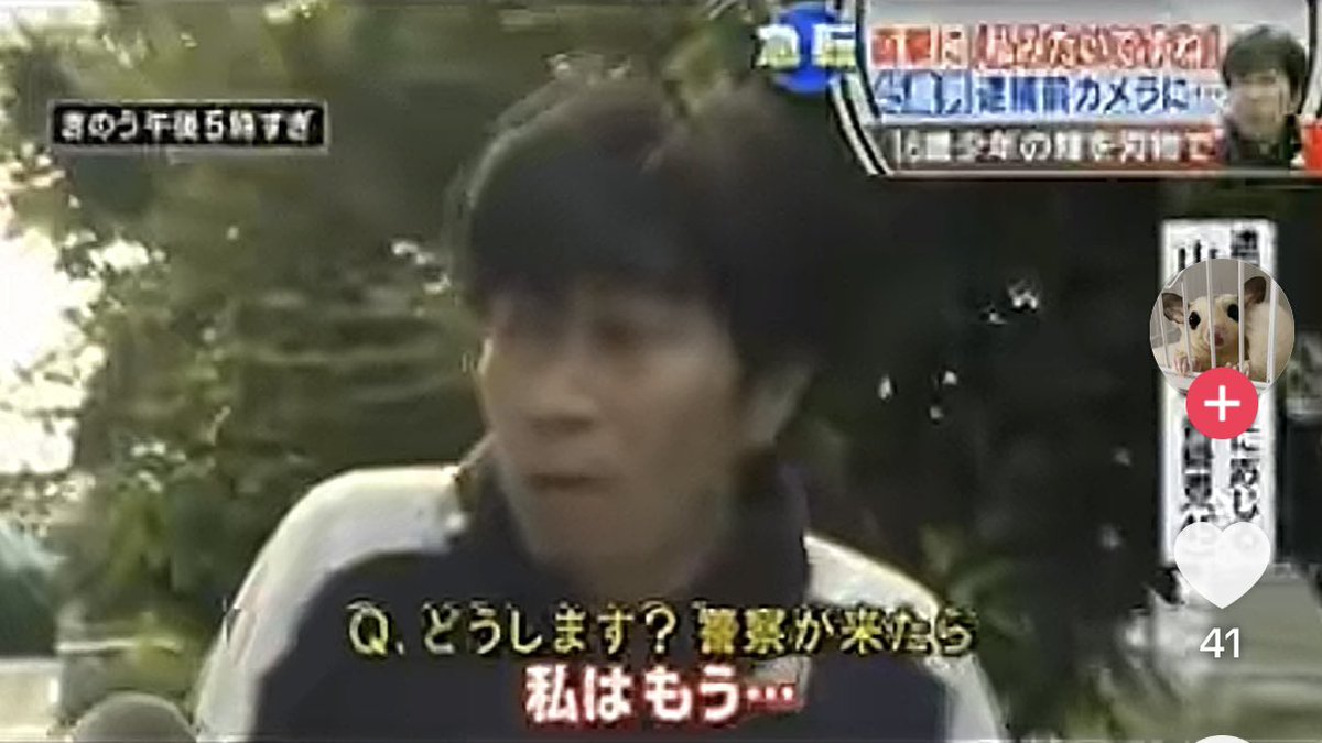 🍛カツカレ〜汚れ松🌲 tweet media