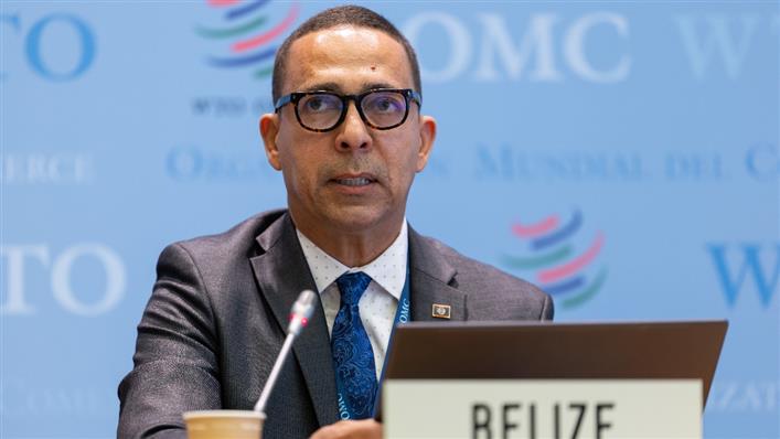 WTO tweet media