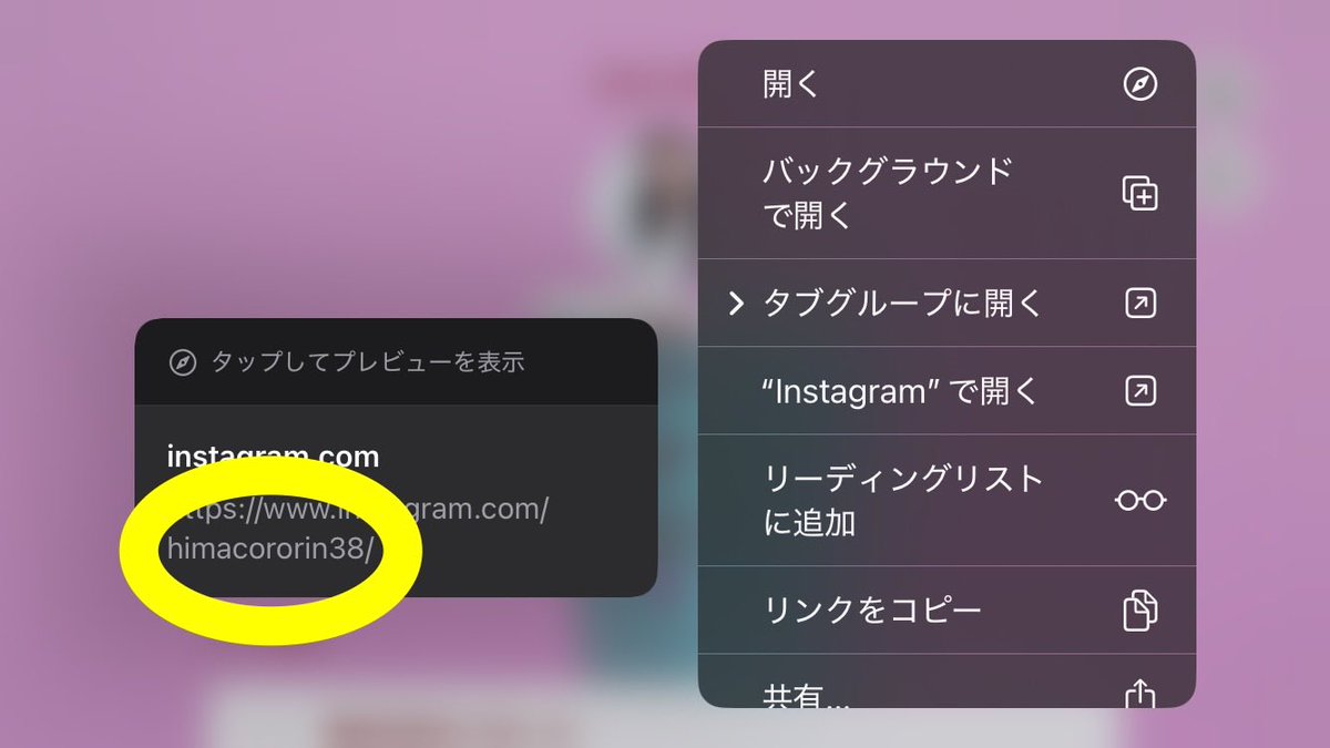 真寺 想玲渚の愛猫テルッテ tweet media