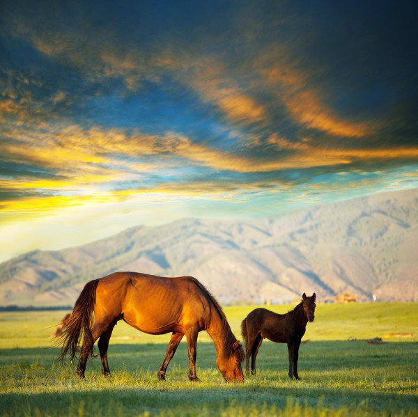CynthiaWoolf's tweet image. "A Fast Paced Tale of the Old West!" 5 stars ZACH by Cynthia Woolf Kindle: mybook.to/ZachDD #mustread #western #romance #tolove #BYNR