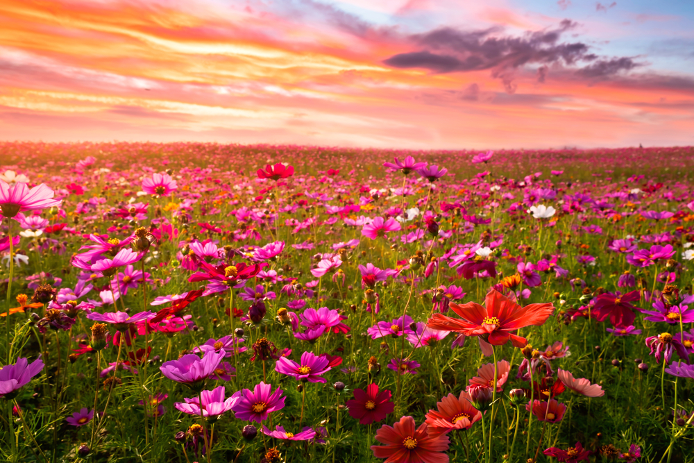 BethFratesMD's tweet image. "Let there be no purpose in friendship save the deepening of the spirit." 💗 Kahlil Gibran

#MondayMotivation #SuccessTRAIN #Friendship #JoyTRAIN