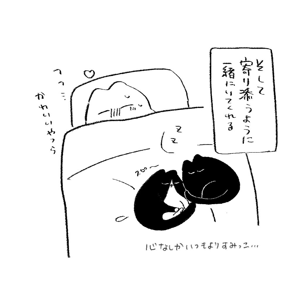 むしろ tweet media