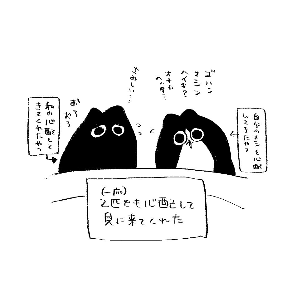 むしろ tweet media