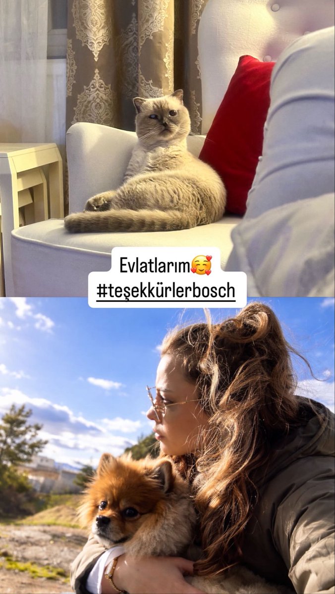utkucerenn's tweet photo. #teşekkürlerbosh ♥️👏🏼 https://t.co/clykBZwXoK
