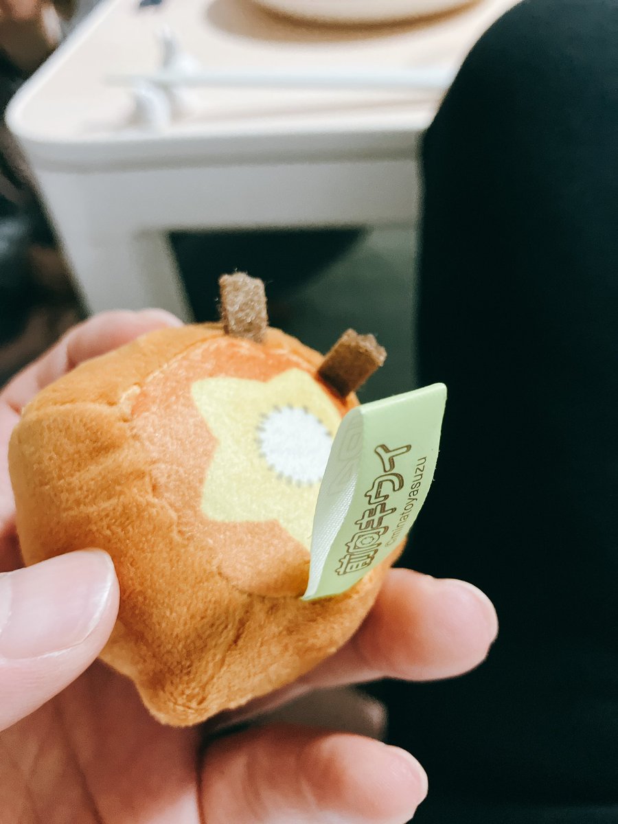 ただの犬 tweet media