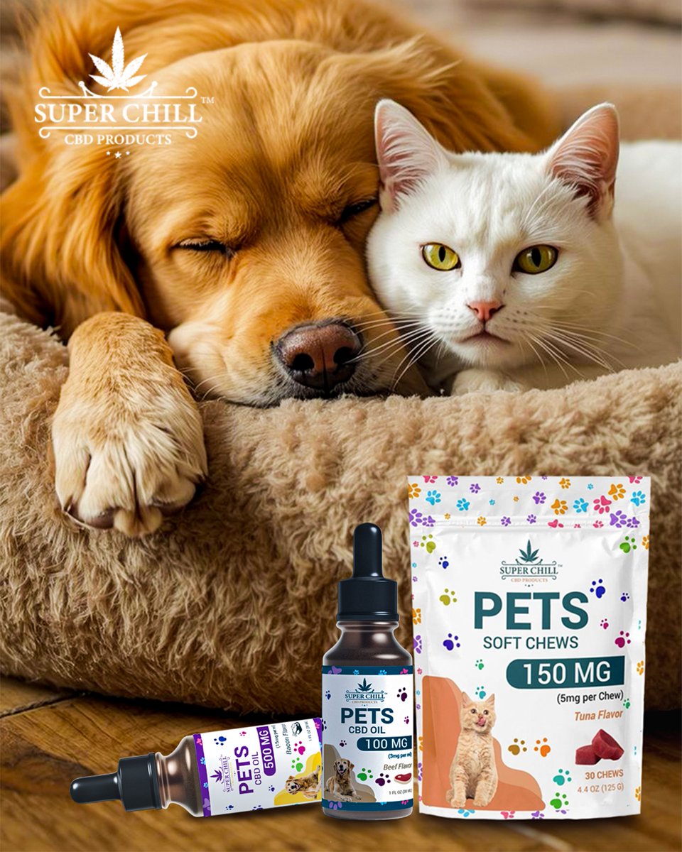 GetSuperChill's tweet photo. Happy tails start with the right support 🐾

Our pet-friendly CBD gummies &amp; tinctures help keep your furry friend calm, comfy, and wagging all day.
Because they deserve to feel their best, naturally 💚

#PetWellness #CBDForPets #HappyPets #CalmPets #PetCare #NaturalPetCare https://t.co/Kvv8yX929R