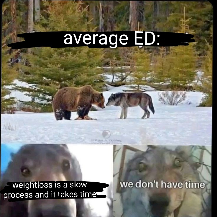˚₊‧꒰აTwilight of edtwt໒꒱ ‧₊˚ tweet media
