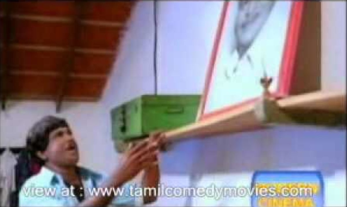 பாக்டீரியா tweet media