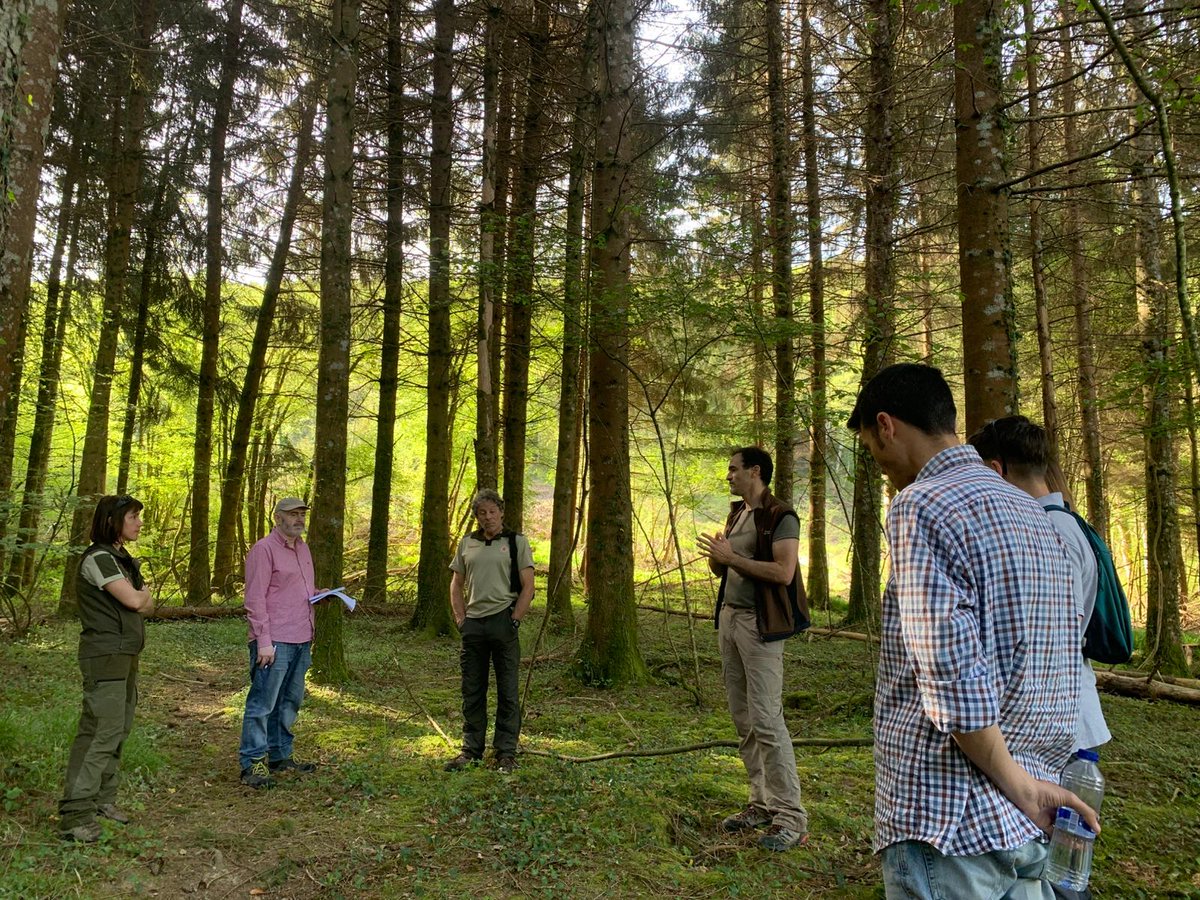 PEFCSpain's tweet photo. Participamos como acompañantes en la auditoría de seguimiento a #Nacert, entidad navarra solicitante de la #certificaciónforestal #PEFC, junto con @aenorconfia , realizada en los montes de la Higa de Monreal, la sierra de Izco (Abínzano) y la Selva de Irati (Auritz y Burguete) 1/ https://t.co/dUMSole3bI