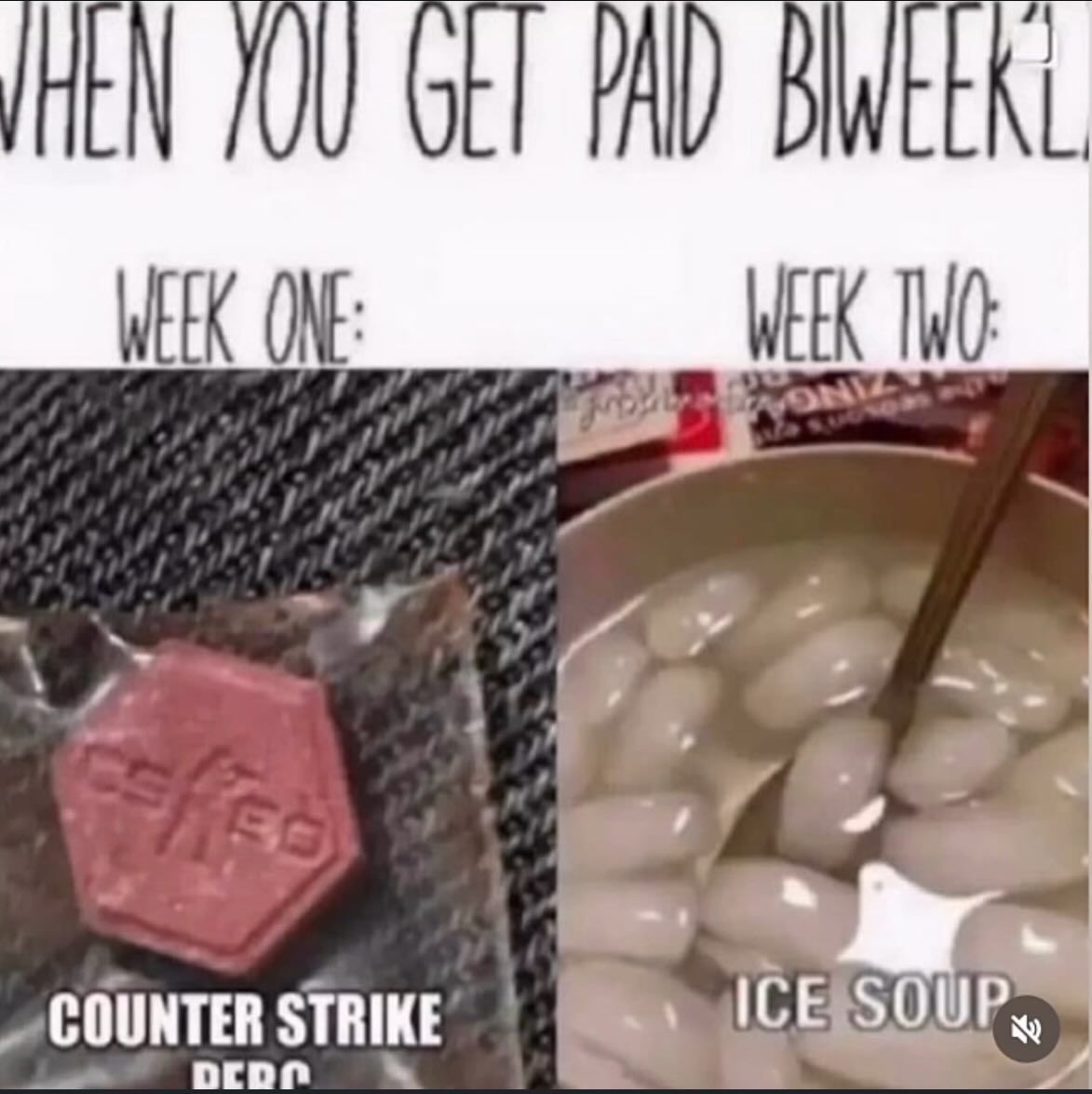 memes to save tweet media