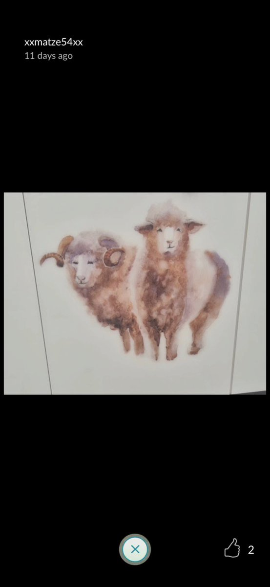 tkc103stone's tweet image. Graffiti #6423
"Glass Sheep Mural"

Zielona Góra, Lubusz, Poland🇵🇱
#PokemonGOGift
#PokemonGO
#graffiti

sticker👍🏼