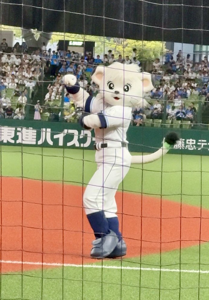やんま🦅 tweet media