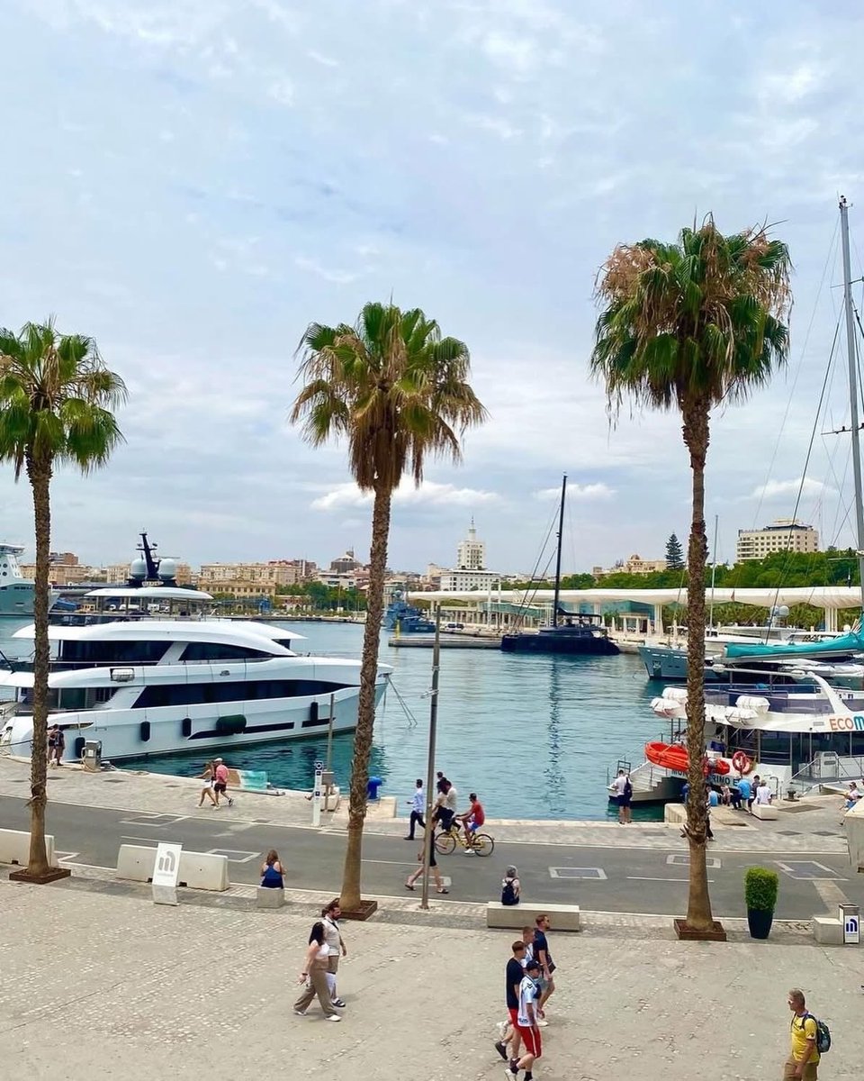Malagaconacento's tweet image. #Malaga 💜💚

📍 Muelle Uno 

#malagaconacento #vivirenmlg #followme #photography