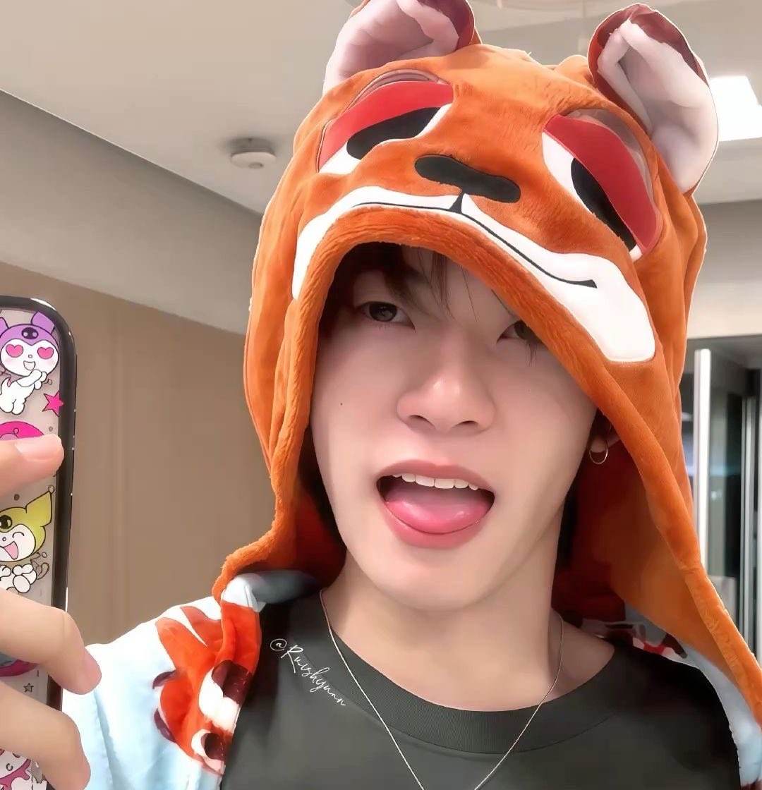 lim˚꒰🐾୭ ˚.♡ tweet media