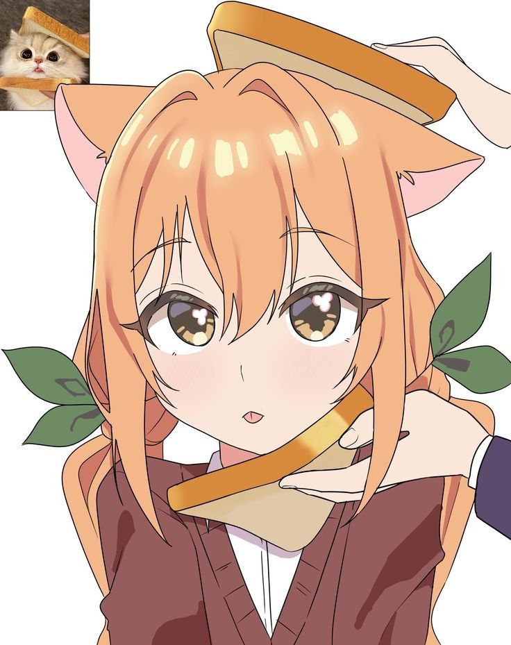 HimuraKx tweet media