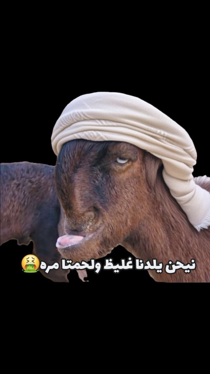 RIAD tweet media