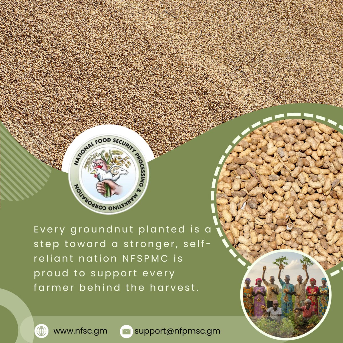 nfscgm's tweet photo. Every groundnut planted is a step toward a stronger, self-reliant nation. 🌱
The National Food Security, Processing and Marketing Corporation stands with every farmer—supporting the harvest that feeds our future.
#NFSPMC
#FoodSecurity
#Groundnuts
#TheGambia
#Agriculture https://t.co/1hfktGGHlb