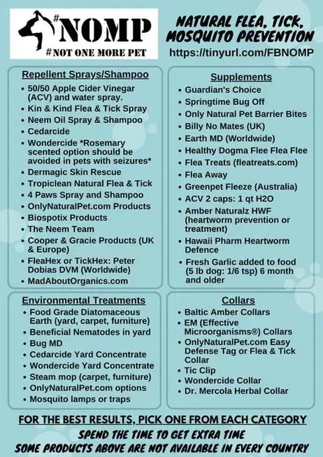 kelllynn28's tweet image. NexGard #NexGard Pets #Pets Cats #Cats Dogs #Dogs Caturday #Caturday #DogsofX DogsofX #CatsofX CatsofX Fleas #Fleas #Ticks Ticks