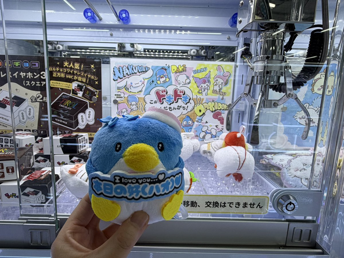 見かけるたびにやってなかなか取れなかったサムちゃん、今日ついに取れ