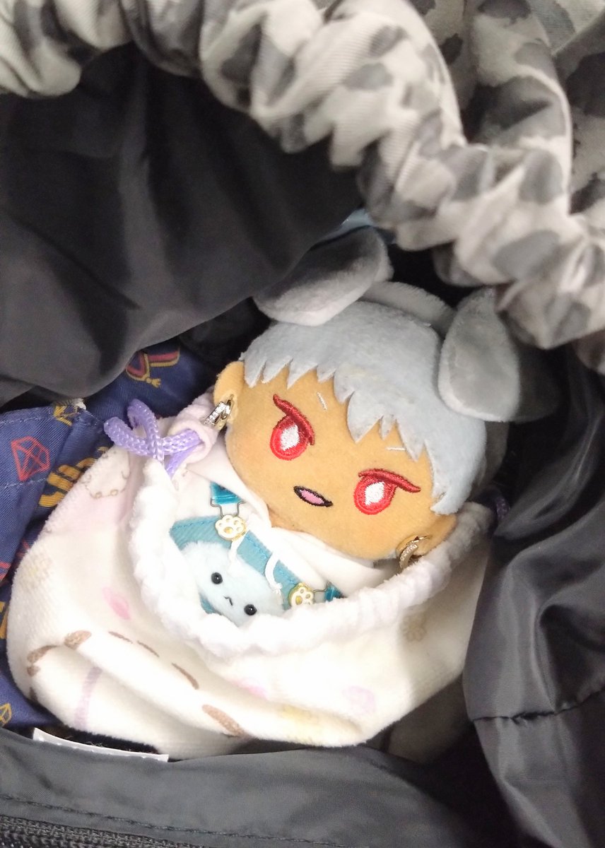 わんこスタイルで行くわよ🐾
残業30分早く終われて時間的にはめちゃくちゃ余裕なので後はバス乗り場を見つけられれば…