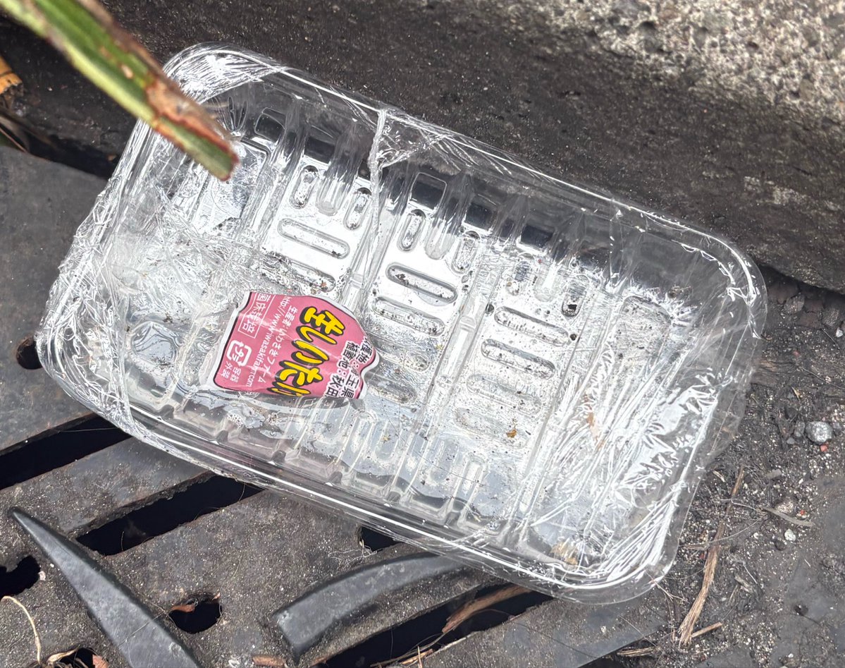 岡部タカシ(ファルセット) tweet media