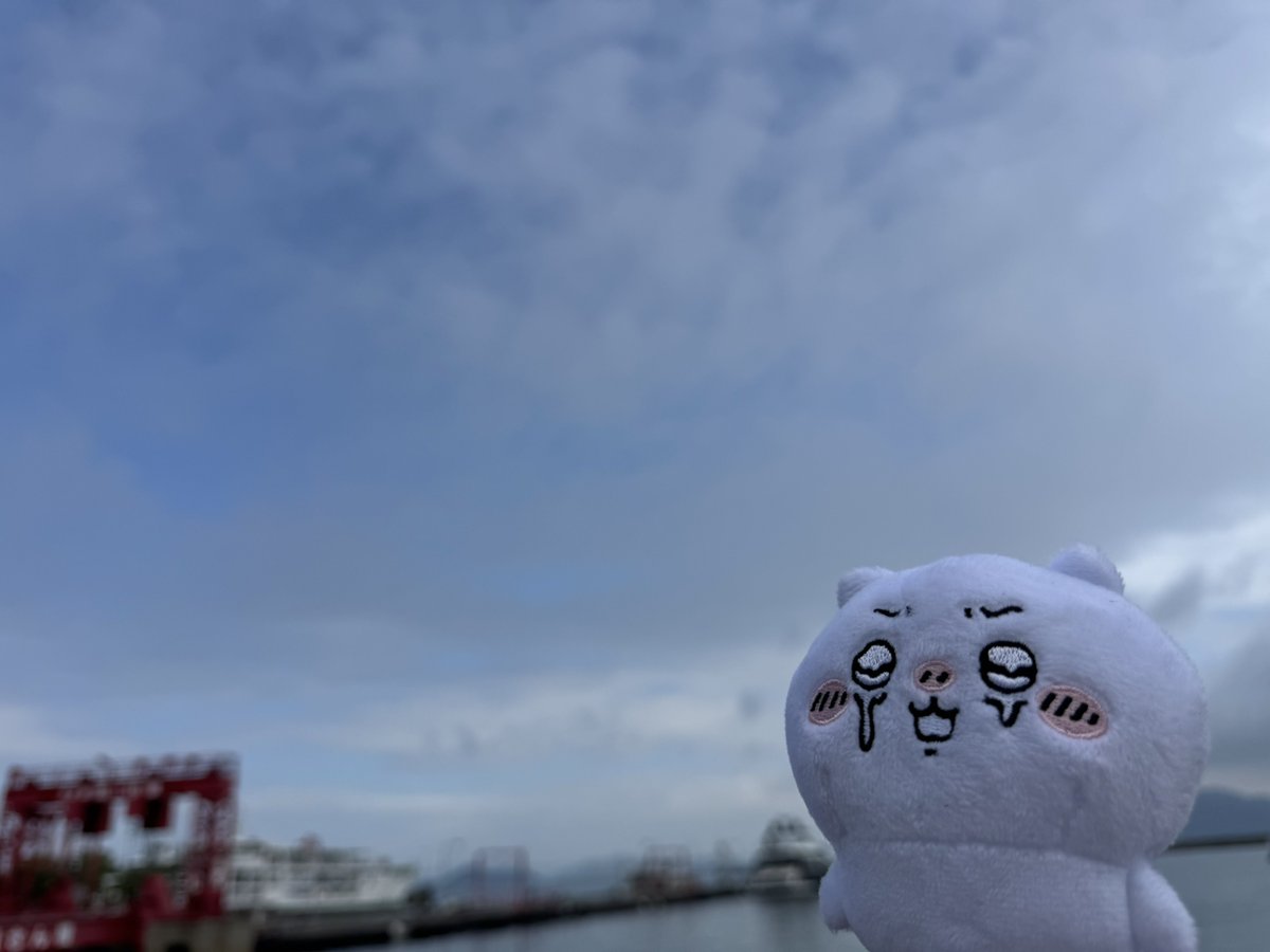 こぱん(𝕶𝖔𝖕𝖆𝖓) tweet media