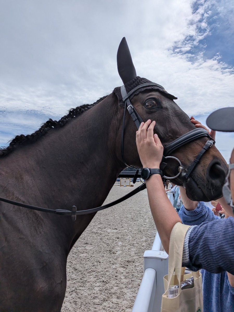 ゆいちー🐴✨ tweet media