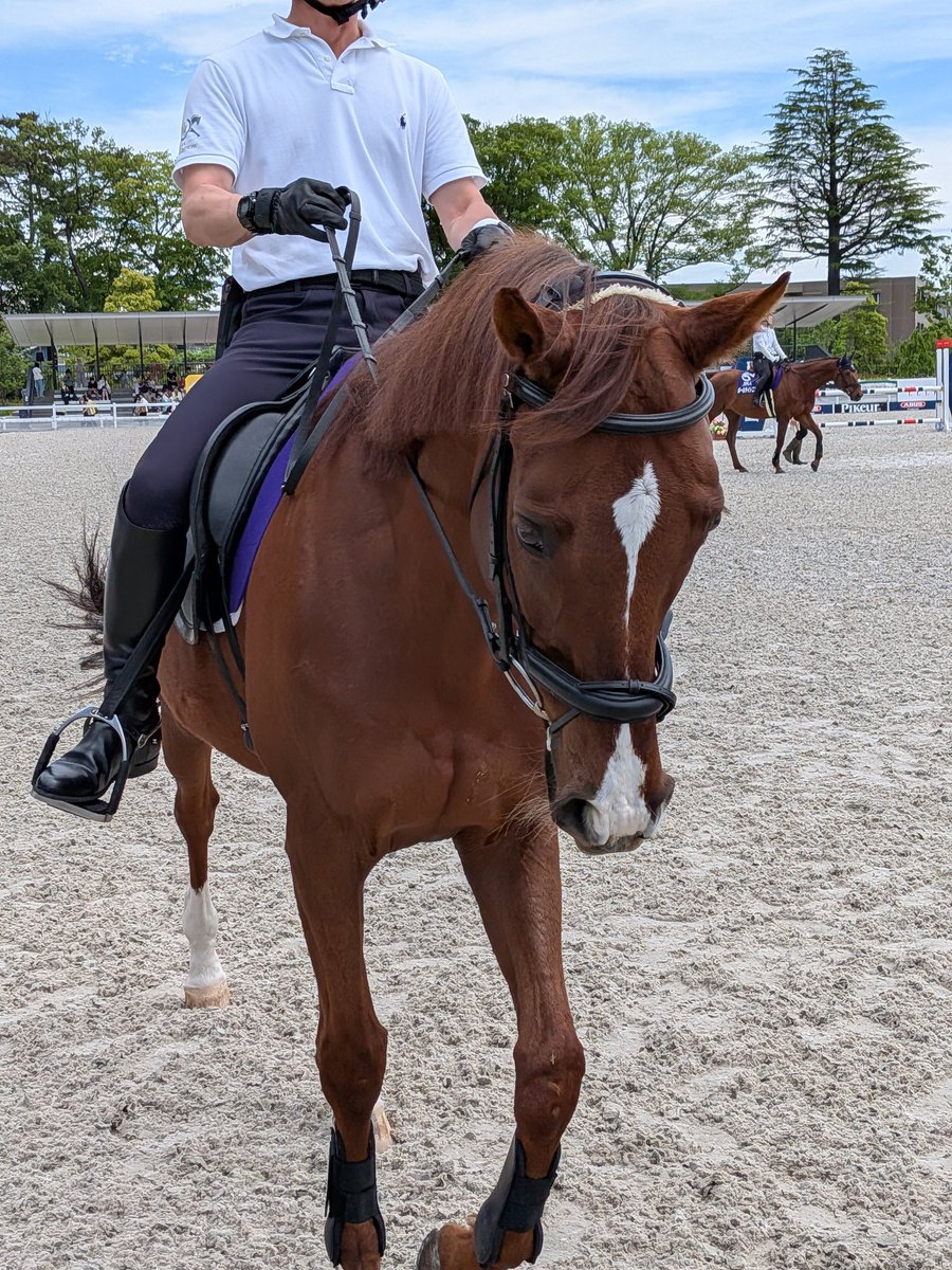 ゆいちー🐴✨ tweet media