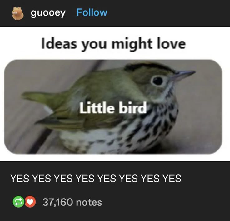 Sparrow tweet media