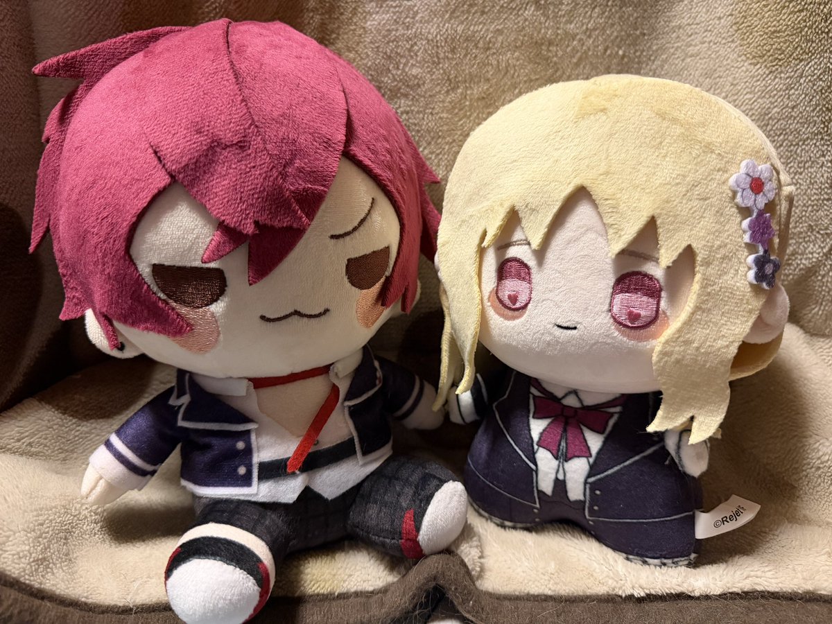 kuromitukinakoi's tweet photo. 早く新しいぬいも欲しいね🥰 https://t.co/jf1hU4FqLn