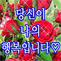쾡 | 통판중 tweet media