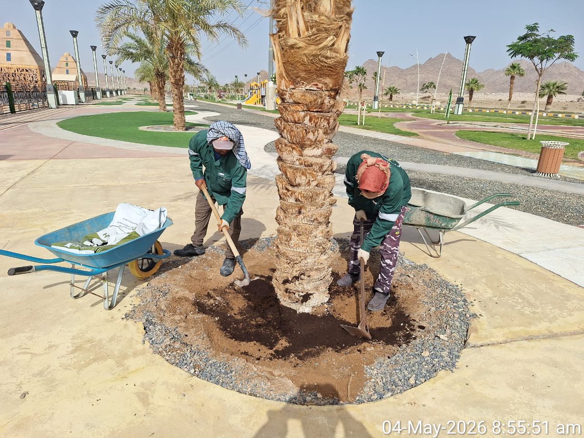 #بلدية _ بداء
#ادارة صحة البيئه _ أعمال الزراعة
أعمالنا مستمرة في صيانة الحدائق 🌿
للحفاظ على بيئة جميلة ومرافق مهيأة ضمن اعمالنا لتحسين جودة الحياة