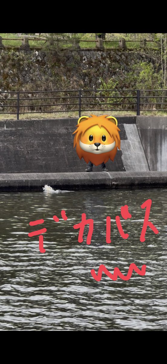 ニーート tweet media