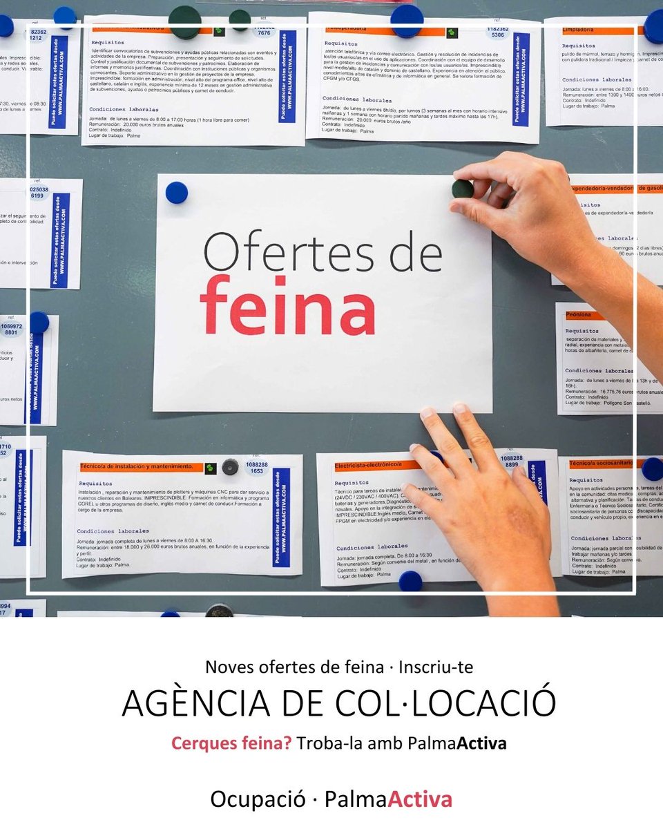 PalmaActiva tweet media
