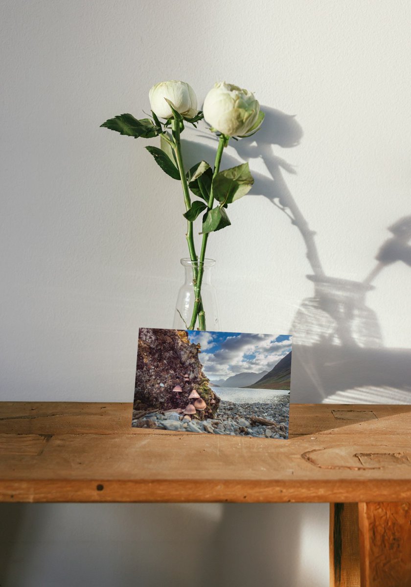 LakesFurniture's tweet image. Lake District Greetings Card | Crummock Water Driftwood | Birthday Card | Easter | Christmas | Postcard tuppu.net/543ebed7 #shelving #Photography #rusticfurniture #handmadefurniture #birthday #housewarming #lakedistrict #greetingscard #EasterCard