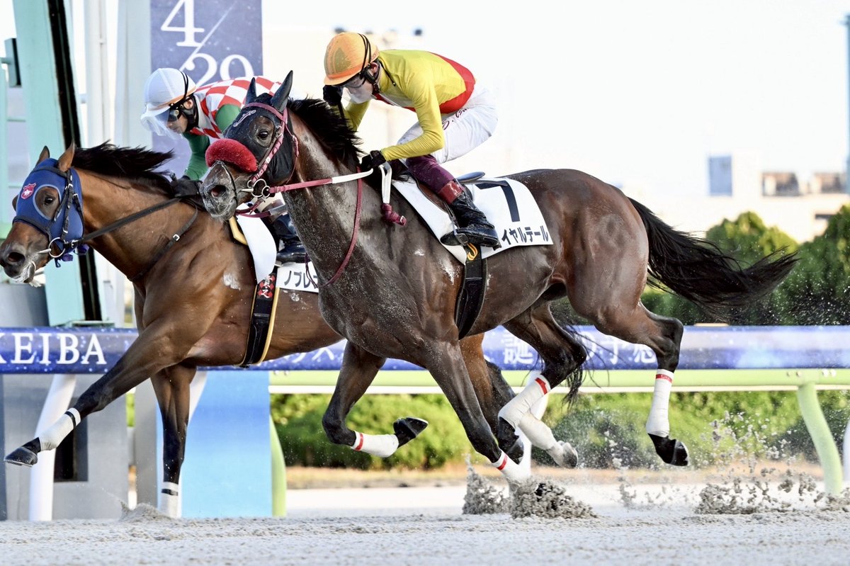 福田真広厩舎 / 大井競馬場小林分場 tweet media