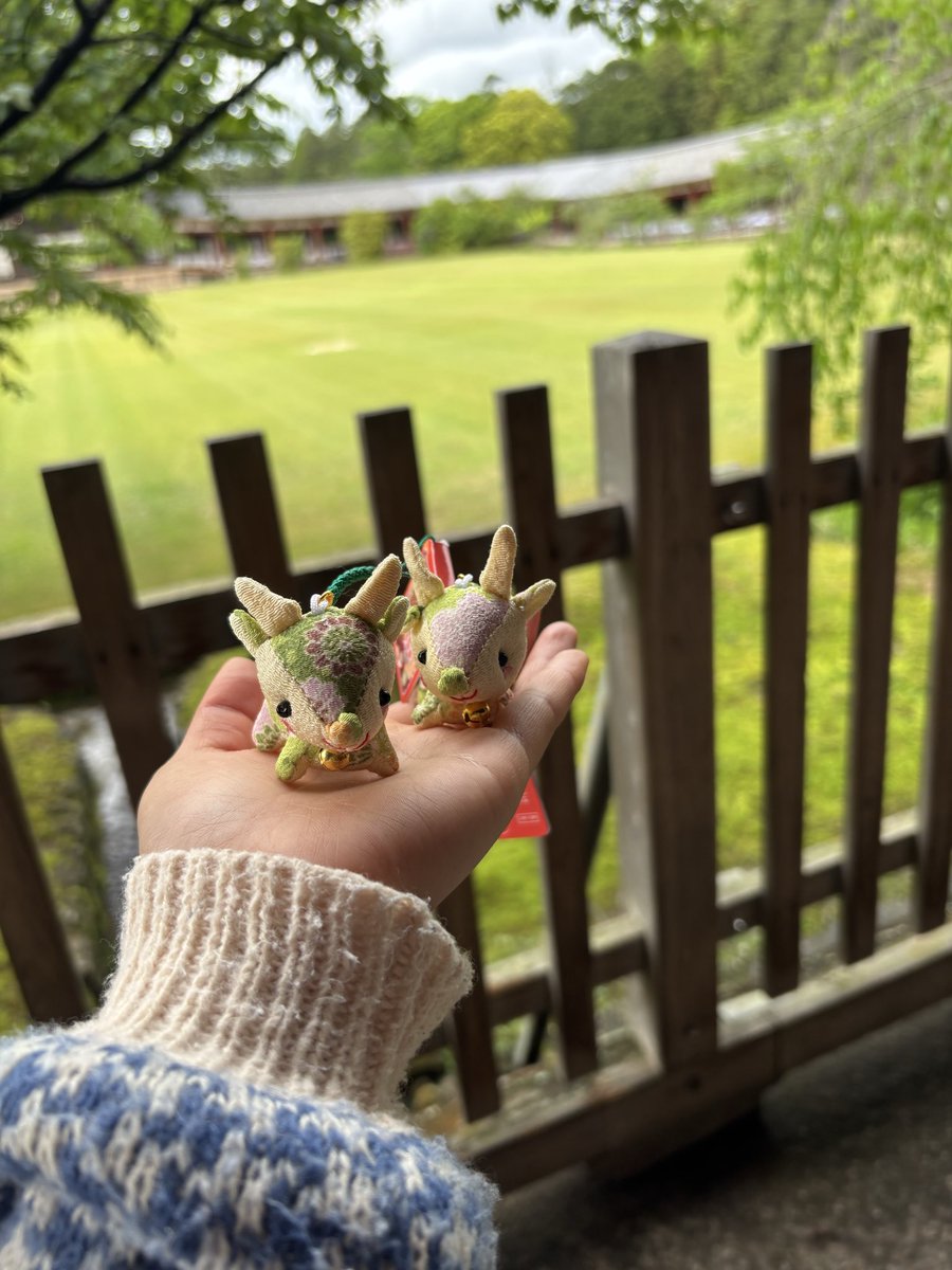 奈良学生ガイド(Nara Student Guide) tweet media