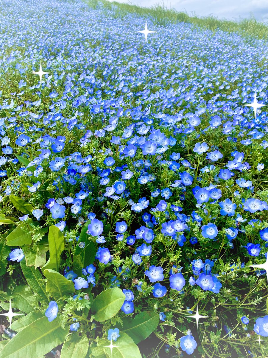 こち。 tweet media
