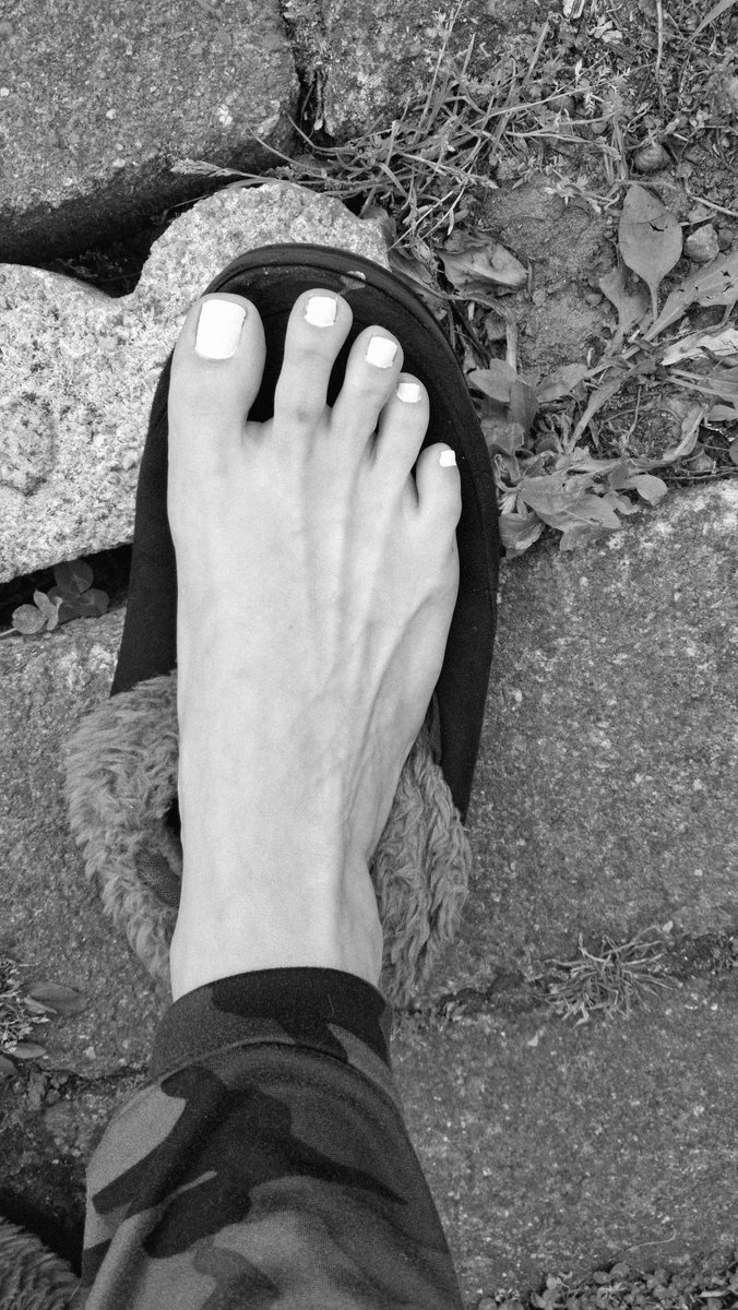 ToeilySweet tweet media