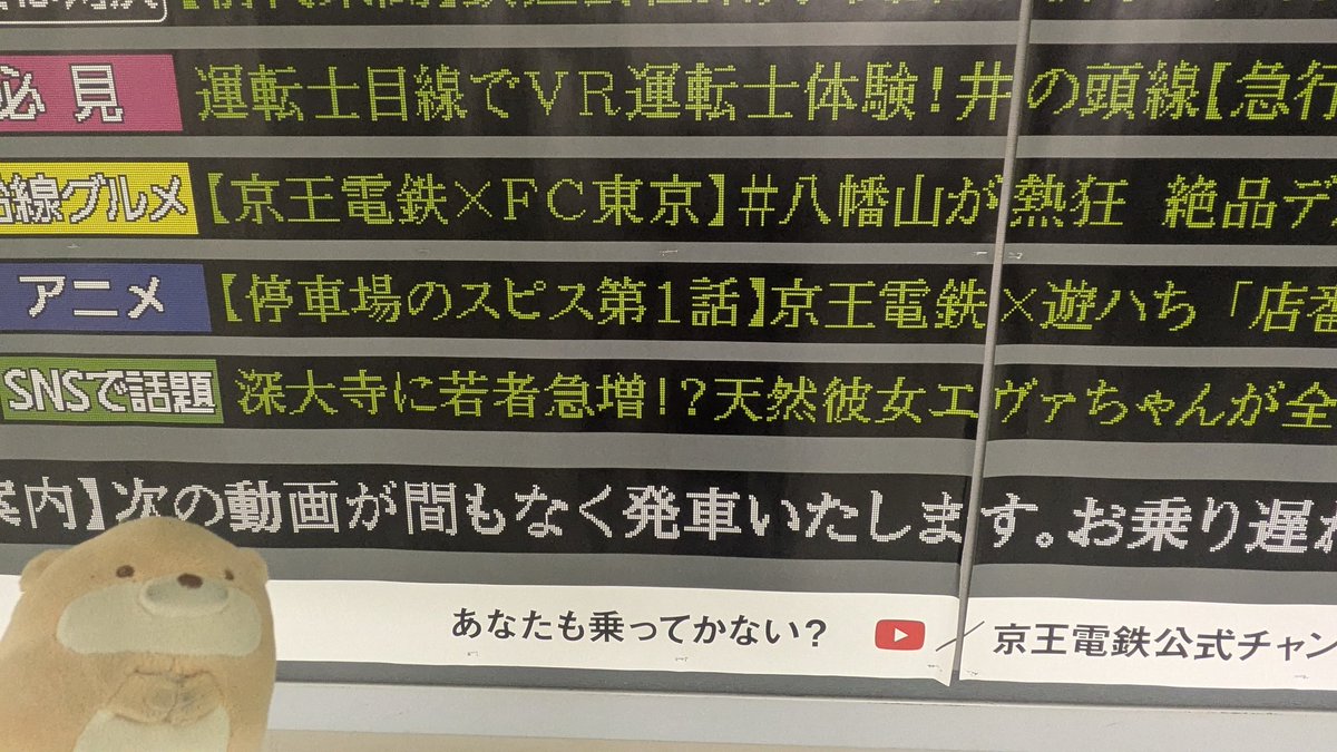 しんかわ🥷 tweet media