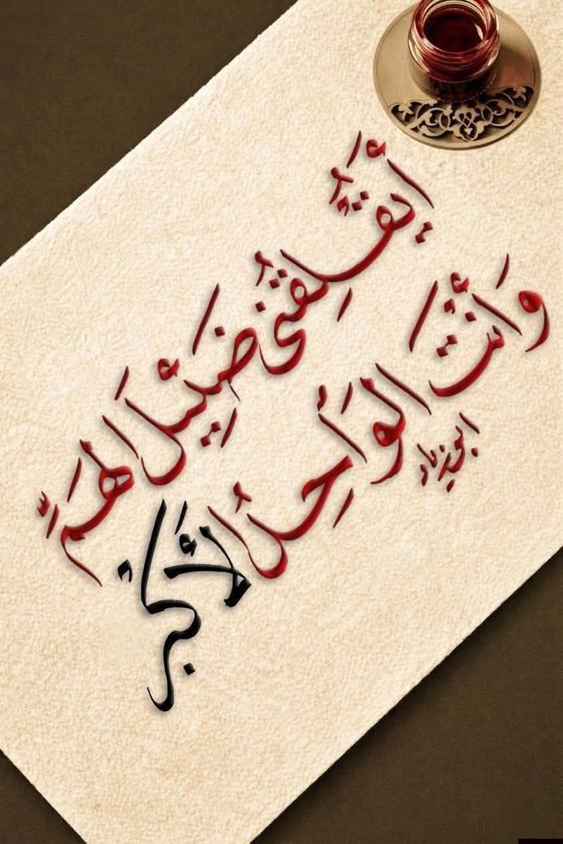 🌼مُـــــنَى 🌼 tweet media
