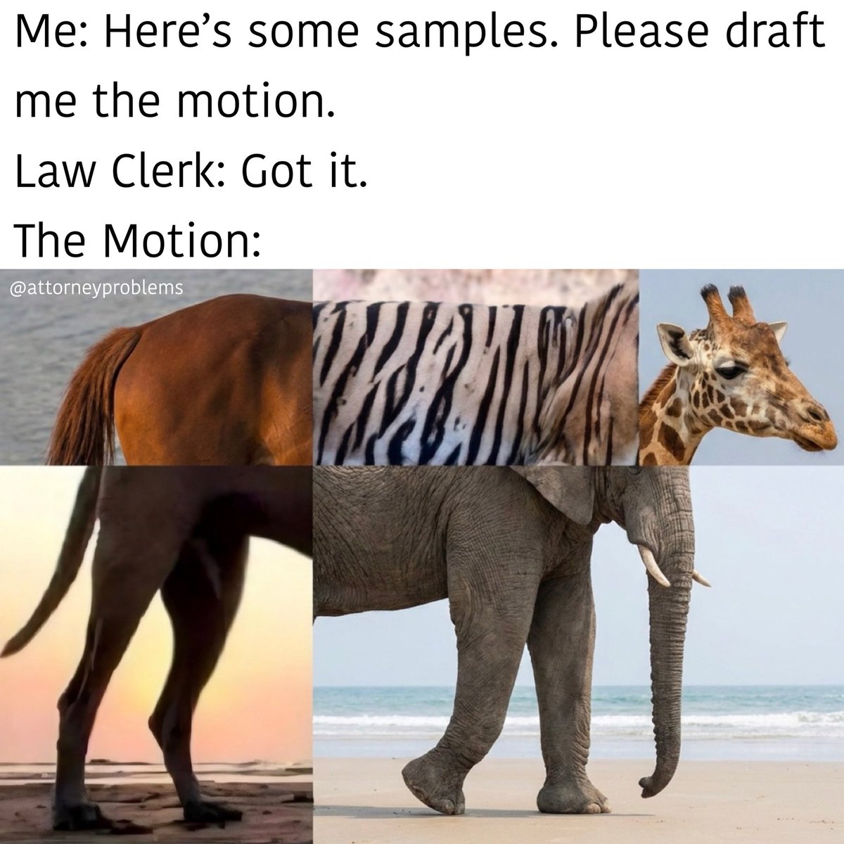 AttorneyProblems tweet media